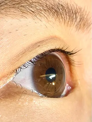 マツエク・マツパ ehl:fa Beautyのマツエク・マツパデザイン