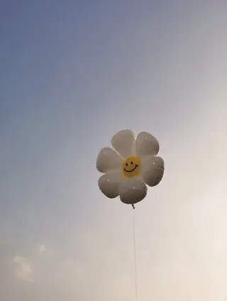 ブラウン/静岡/髪質 改善/大人可愛い🐰のマツエク・マツパデザイン