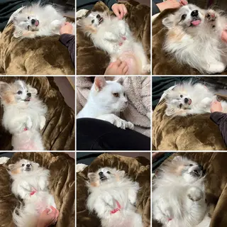 アイカワールド所属・鈴木 愛加のエステ・リラクイメージ