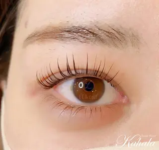 マツエク・マツパ NISAKA 🦸🏻‍♀️のマツエク・マツパデザイン