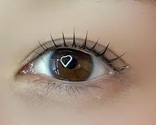 マツエク・マツパ Celeste Venus所属・🧸Celeste Venusのマツエク・マツパデザイン