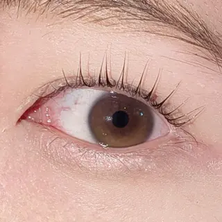 マツエク・マツパ リュープリエ所属・🎀心斎橋束感まつ毛 &美眉MOENO🎀のマツエク・マツパデザイン