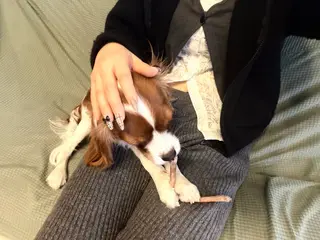 ネイル enju tamamiのネイルデザイン