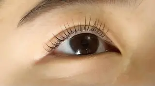 マツエク・マツパ remplir 《ランプリール》のマツエク・マツパデザイン