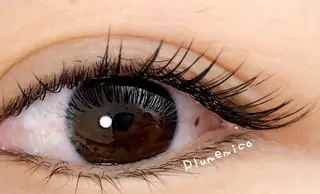 マツエク・マツパ Plume micoのマツエク・マツパデザイン