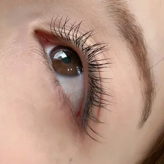 マツエク・マツパ Koti sakai mayuのマツエク・マツパデザイン