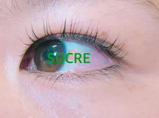 マツエク・マツパ EyelashSalon Liz.&所属・Liz.&現ino 平田のマツエク・マツパデザイン