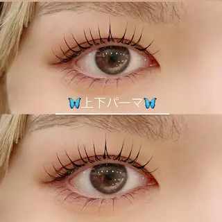 マツエク・マツパ マリーテレジア SHIMIZU.yのマツエク・マツパデザイン