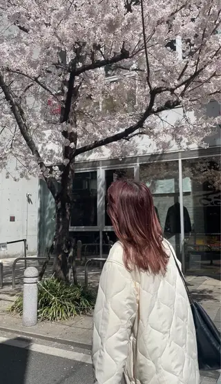 ロング カラー 佐藤 永夏のヘアスタイル