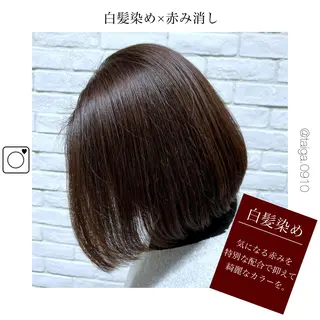 ショート カラー レディースヘア💫 加藤たいが🐯のヘアスタイル