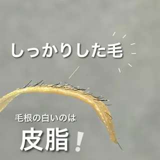 waxyyy. madokaの眉毛・アイブロウイメージ