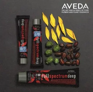 カラー KOKOMO所属・momo ショート🐾のヘアスタイル