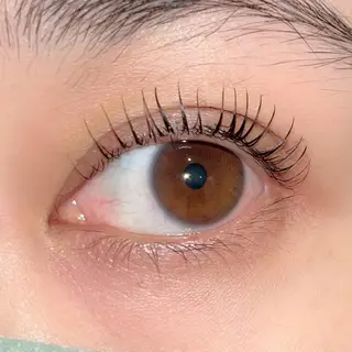 マツエク・マツパ ai一重専門🎀束感 まつげ🫧表参道のマツエク・マツパデザイン