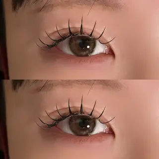 マツエク・マツパ 🐾ROAR🐾 HAZUKIのマツエク・マツパデザイン