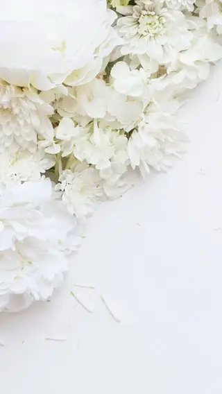 🌸 Sakura JAMの眉毛・アイブロウイメージ