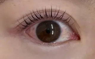 マツエク・マツパ KANGOL BEAUTY SALON Eyelash アルカキット錦糸町店所属・板谷 弥生のマツエク・マツパデザイン