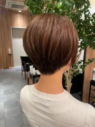 ショート ボブ ホノカのヘアスタイル
