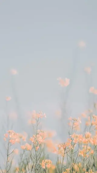 ショート ヘアアレンジ 🌿あがりれいなのその他イメージ