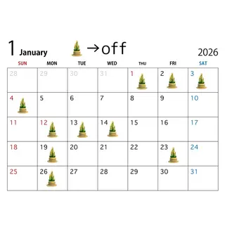 マツエク・マツパ 神崎 優奈のマツエク・マツパデザイン