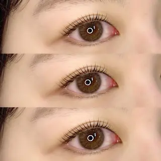 マツエク・マツパ LAND【ランド】 小鹿のマツエク・マツパデザイン