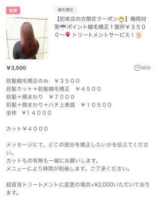 ロング 海外レイヤー 🇺🇸/ヒナコのヘアスタイル