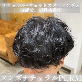 ショート パーマ メンズ 艶髪カラー/透明感 美髪/白髪/ﾑﾅｶﾀのヘアスタイル