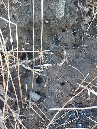 千の樹所属・久保 美咲(女性専用)のエステ・リラクイメージ