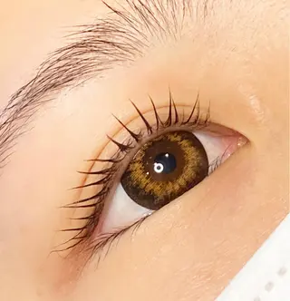 マツエク・マツパ Dahlia beauty新岩聖可のマツエク・マツパデザイン