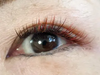 マツエク・マツパ Plume micoのマツエク・マツパデザイン