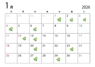 ミディアム カラー ハイトーン/寒色系 カラー/Risa🌿のヘアスタイル