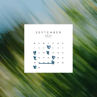 アイブロウ 【ナチュラル眉 🎀hinata】の眉毛・アイブロウイメージ