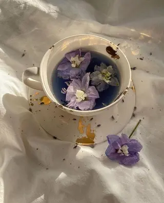 MARINO成田店 misakiのマツエク・マツパデザイン