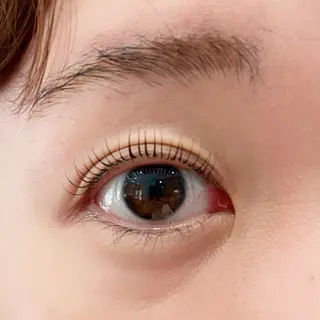 マツエク・マツパ GranCieux 水戸/まつパ🧡黒柳の眉毛・アイブロウイメージ