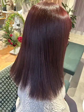 カラー 園田 朱理のヘアスタイル