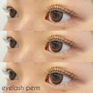 マツエク・マツパ ✧elpatio✧︎ 小出紗羅のマツエク・マツパデザイン