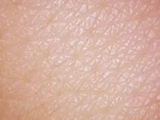 ＲＩＯＮ 〜リオン〜 ／    肌育サロンのエステ・リラクイメージ