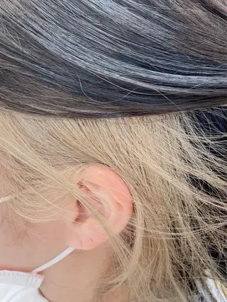 ショート カラー 大野 まゆのヘアスタイル