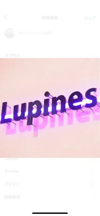 マツエク・マツパ Lupines 🐰ᩚのマツエク・マツパデザイン