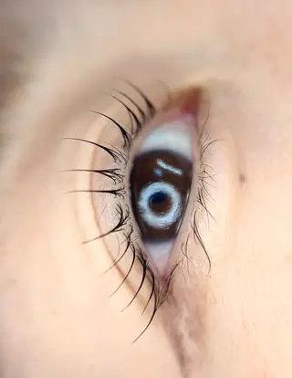 マツエク・マツパ Lash Lift ＷAＶＥ所属・Lash Lift WAVE🩵のマツエク・マツパデザイン