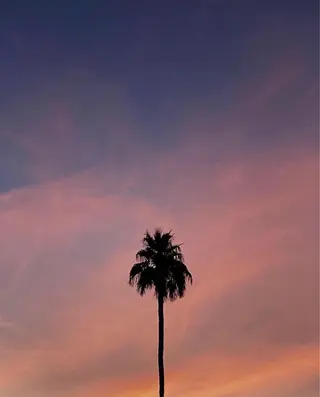 マツエク・マツパ ✨アイリスト✨ JURIのマツエク・マツパデザイン