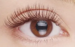 マツエク・マツパ RoseLash【青山一丁目徒歩1分】表参道所属・パリジェンヌ/まつパ RoseLashのマツエク・マツパデザイン