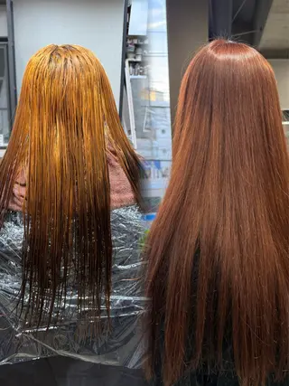 カラー ルシ🌈/ハイトーン ･デザインカラー特化のヘアスタイル