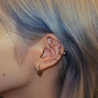 B.napus/mimi2bo所属・B.napus Nanohaのその他イメージ