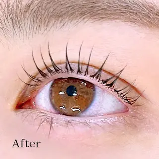 マツエク・マツパ 骨格似合わせ眉WAX 眉まつ毛専門/石井のマツエク・マツパデザイン