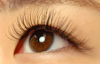 マツエク・マツパ IRIE(アイリー)所属・IRIE (アイリー)のマツエク・マツパデザイン