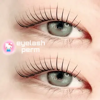 マツエク・マツパ GO TODAY 原宿Riora店所属・韓国束感まつげパーマ ｜根元立ち上げYUのマツエク・マツパデザイン