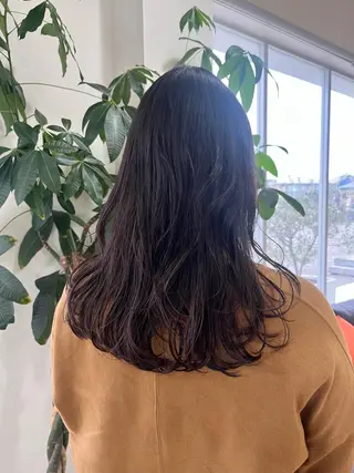 セミロング 富永 美玖のヘアスタイル