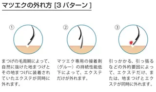 マツエク・マツパ eye list NAKAMURAのマツエク・マツパデザイン