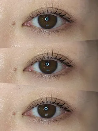 マツエク・マツパ STEEL所属・【STEEL池袋】 🌈MASHIMAのマツエク・マツパデザイン