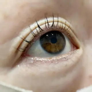 マツエク・マツパ EYELASHSALON  PINO所属・eyelash salon PINOのマツエク・マツパデザイン